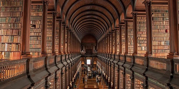 amazing-libraries-005