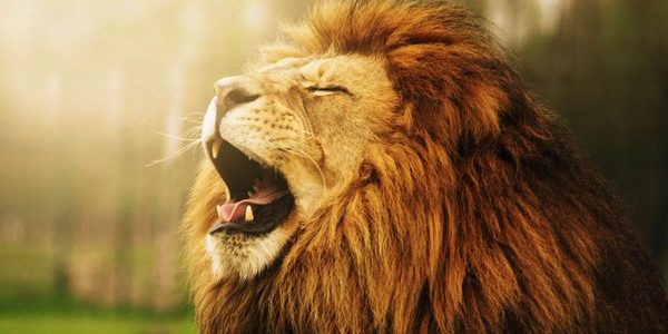 esocial evento s-5002