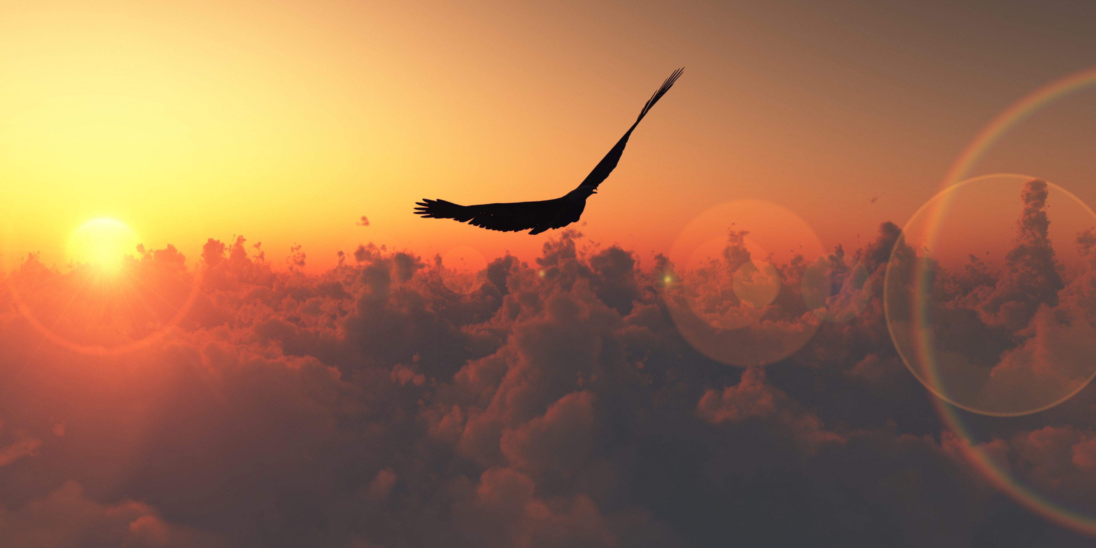 BPM e eSocial CICLO DE VIDA (PDCA)