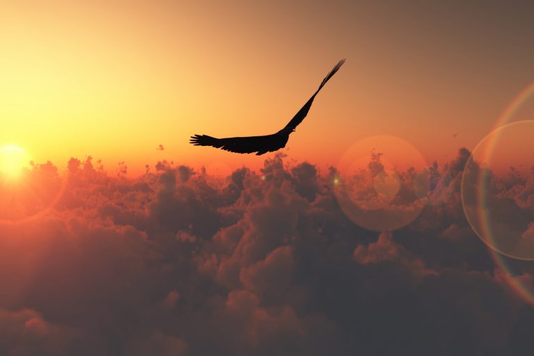 BPM e eSocial CICLO DE VIDA (PDCA)