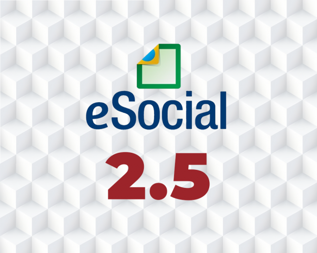 ESOCIAL 25