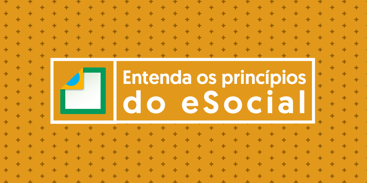 principios esocial